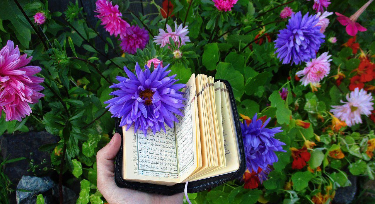 quran, shrine, scripture-3664042.jpg