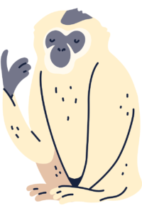 monkey, animal, primate-6805710.jpg